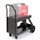 Lincoln Electric Utility Cart (150 cu.ft bottle capacity) #K520 for sale online